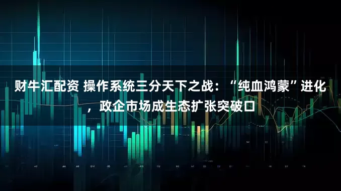 财牛汇配资 操作系统三分天下之战：“纯血鸿蒙”进化，政企市场成生态扩张突破口