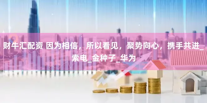 财牛汇配资 因为相信，所以看见，聚势向心，携手共进_索电_金种子_华为