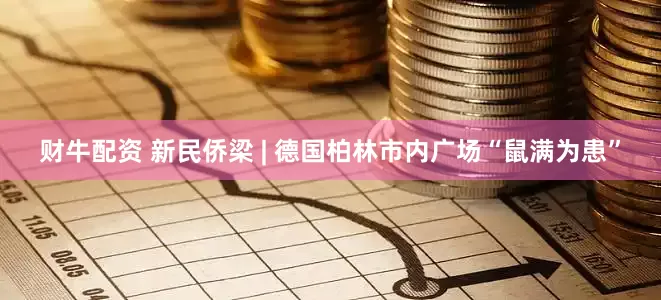 财牛配资 新民侨梁 | 德国柏林市内广场“鼠满为患”