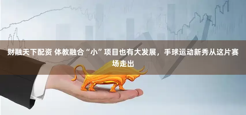 财融天下配资 体教融合“小”项目也有大发展，手球运动新秀从这片赛场走出