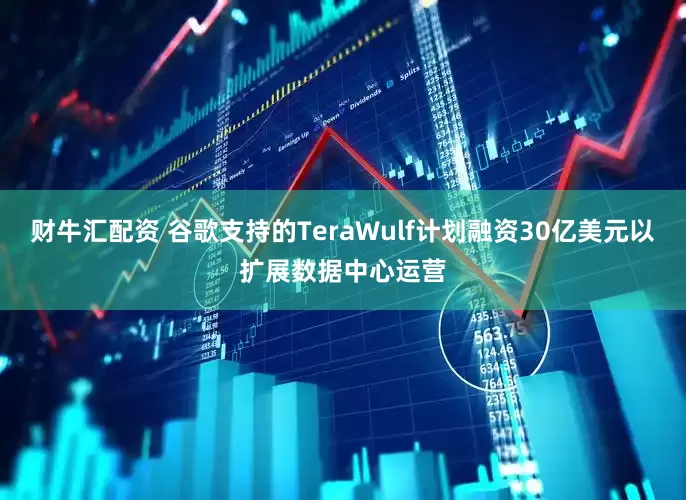 财牛汇配资 谷歌支持的TeraWulf计划融资30亿美元以扩展数据中心运营
